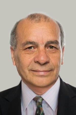 Profesor Waldo Bustamante.